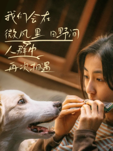 电影我会好好的-看电影
